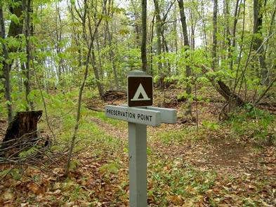 Camper submitted image from Preservation Point Campsite on Grand Island - 4