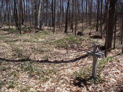 Camper-submitted photo at Road's End Campsite on Grand Island near Chatham, MI