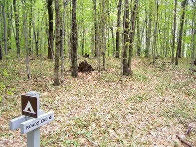 Camper submitted image from Road's End Campsite on Grand Island - 2