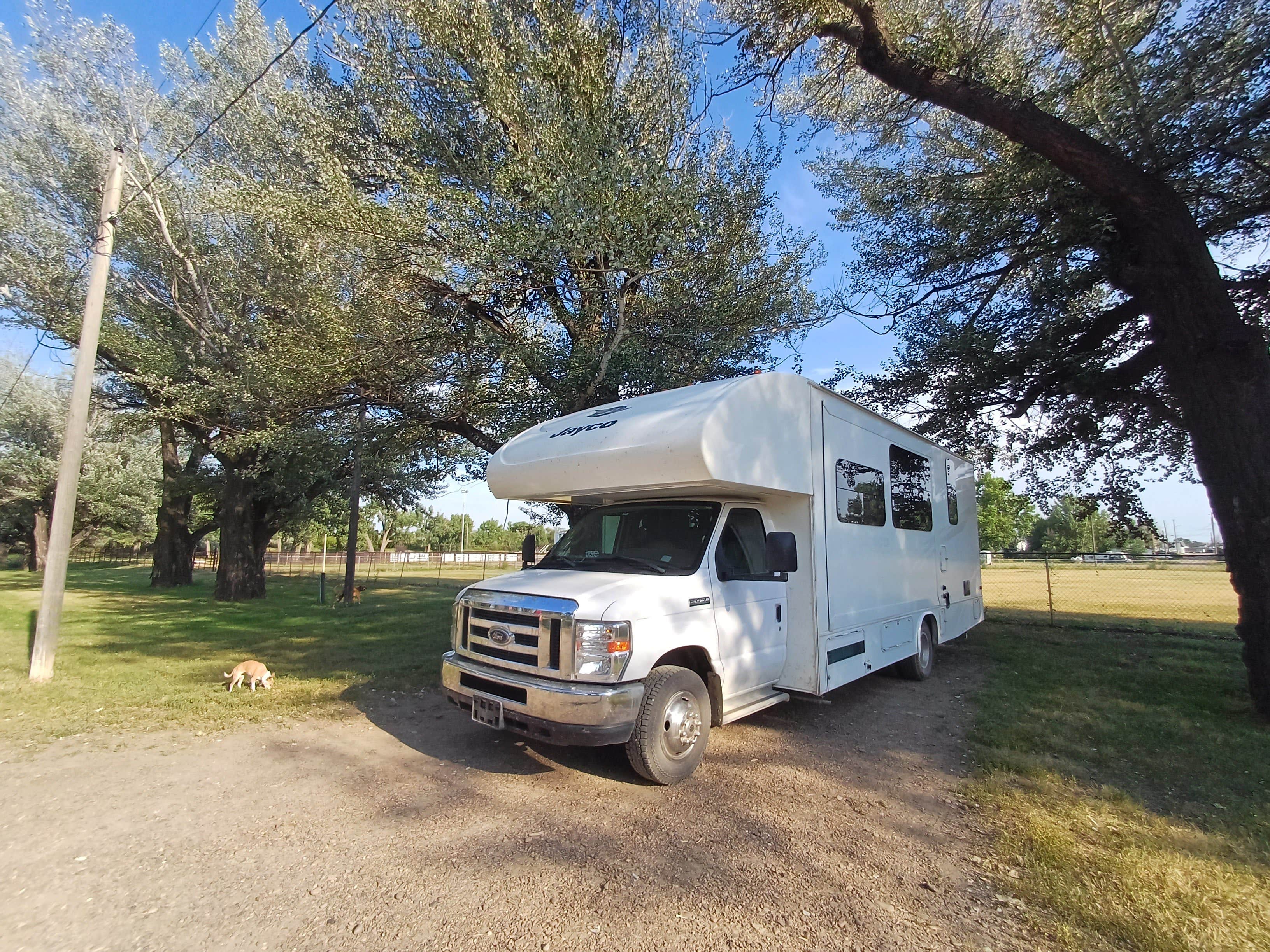 Laura M.'s photo of camping with pets at Trafton City Park near Malta, MT