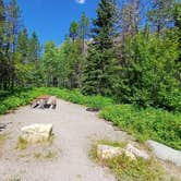 Review photo of Many Glacier Campground — Glacier National Park by Laura M., July 13, 2024