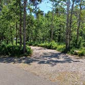 Review photo of Many Glacier Campground — Glacier National Park by Laura M., July 13, 2024