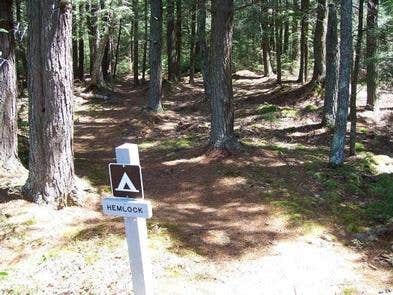 Camper-submitted photo at Hemlock Campsite on Grand Island near Marquette, MI