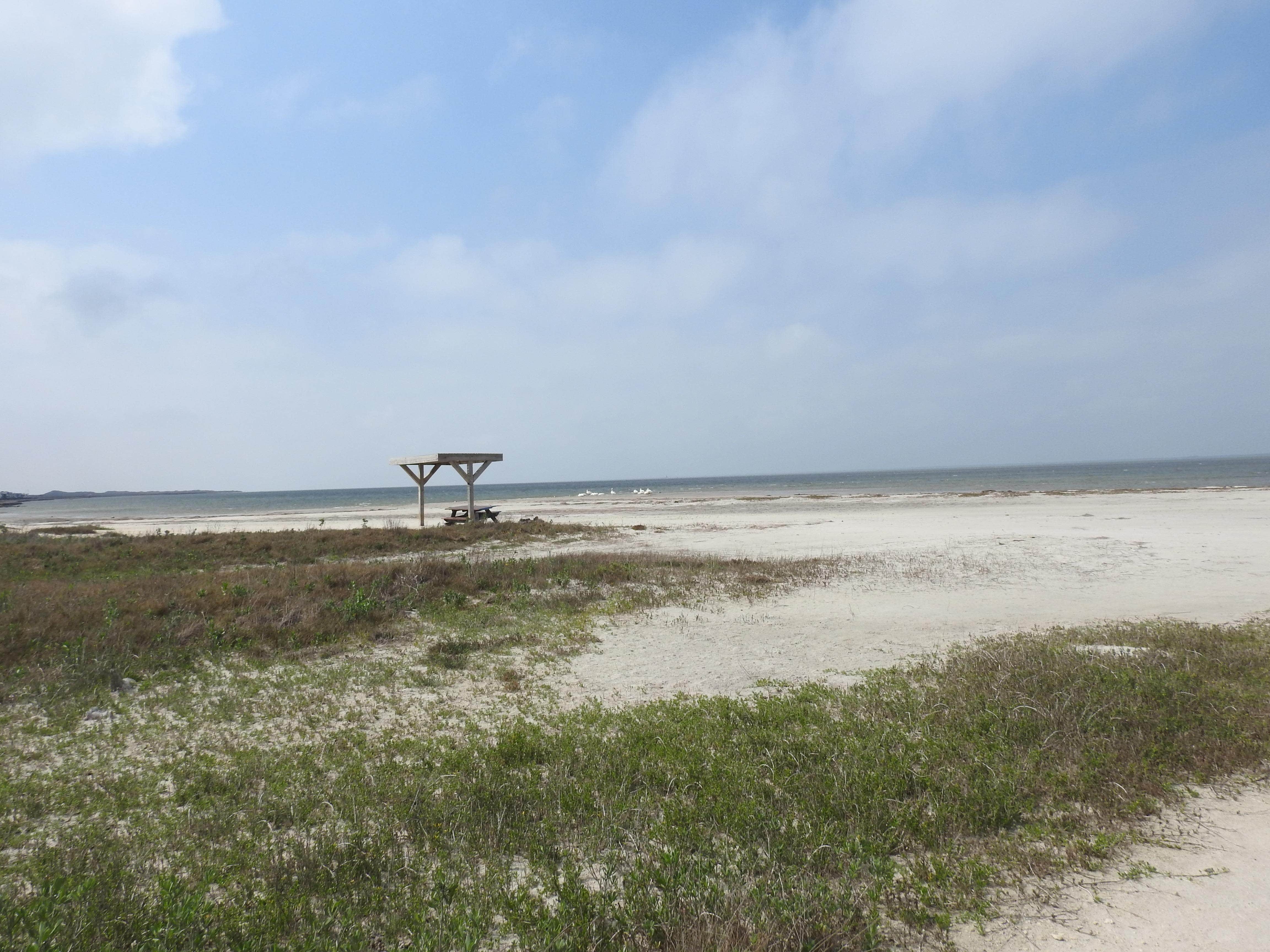 Camper-submitted photo at Bird Island Basin Campground — Padre Island National Seashore near Padre Island National Seashore
