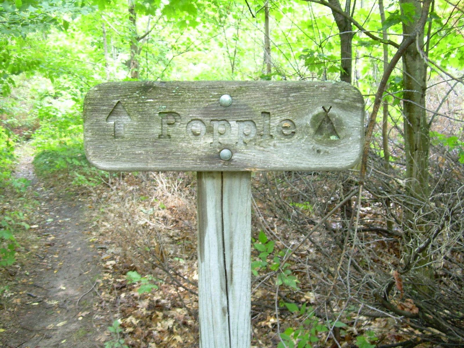 Camper submitted image from Popple Campground — Sleeping Bear Dunes National Lakeshore - 1