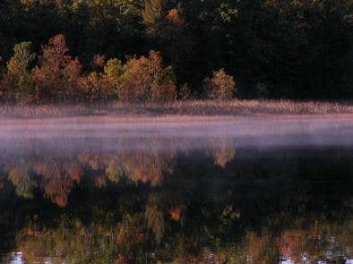 Camper submitted image from Duck Lake Campsites on Grand Island - 2