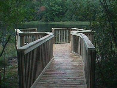 Camper submitted image from Duck Lake Campsites on Grand Island - 5