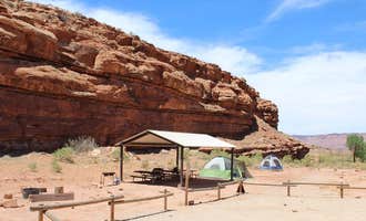 Camping near Needles Outpost & Campground: Creek Pasture Group Site, La Sal, Utah