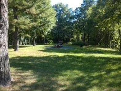 Camper submitted image from Dundo Group Campground — Shenandoah National Park - 1