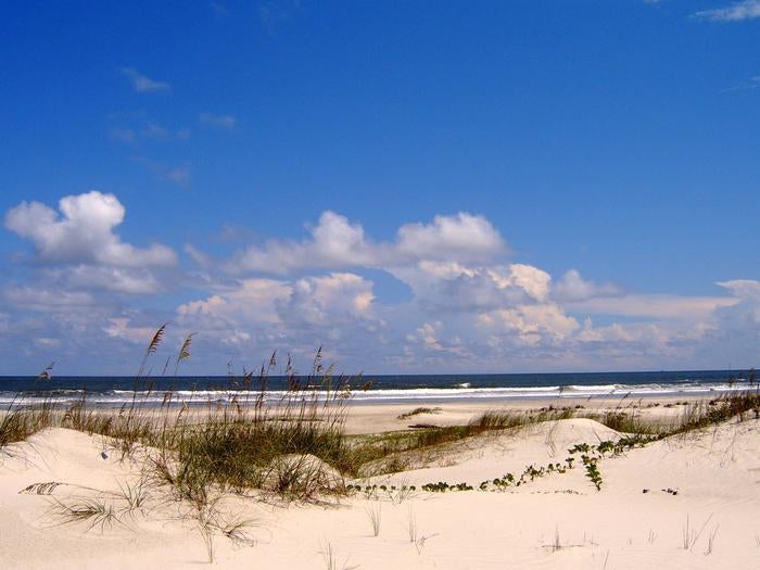 Camper submitted image from Sea Camp Campground — Cumberland Island National Seashore - 4