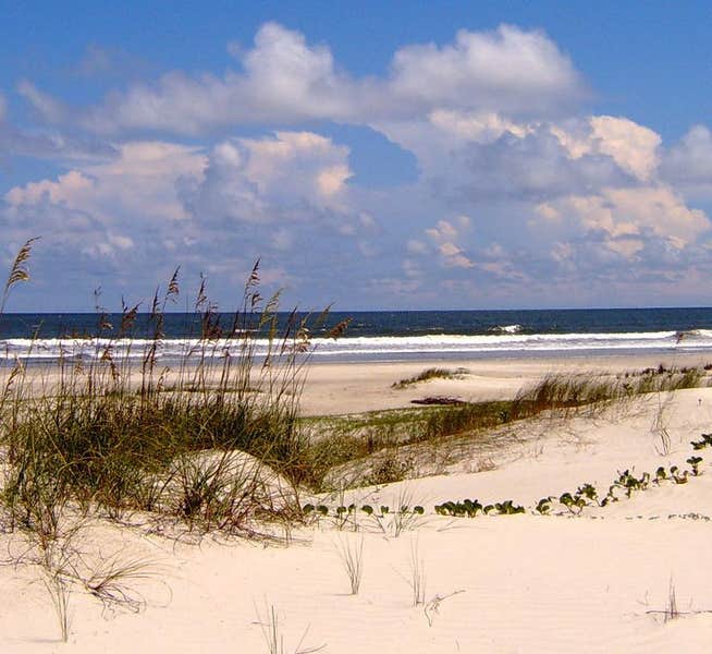 THE 10+ BEST Campgrounds near St. Simons Island, GA