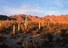 South Maricopa Mountains Wilderness Area