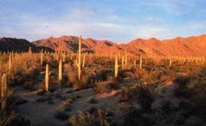 The Dyrt's photo of a dispersed camping area at South Maricopa Mountains Wilderness Area near Stanfield, AZ