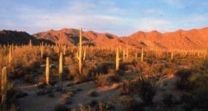 South Maricopa Mountains Wilderness Area