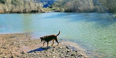 Camper submitted image from Childs Dispersed Camping