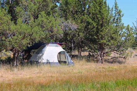 Camper submitted image from Reynolds Pond Recreation Site - 3