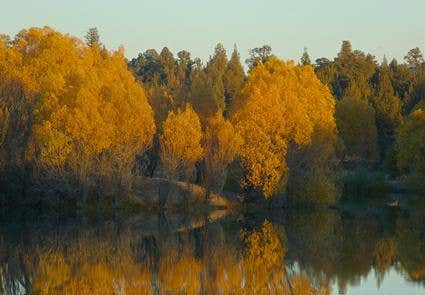 Camper-submitted photo at Reynolds Pond Recreation Site near Redmond, OR