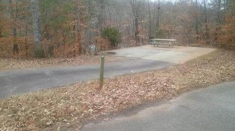Camper submitted image from Toto Creek Campground - 5