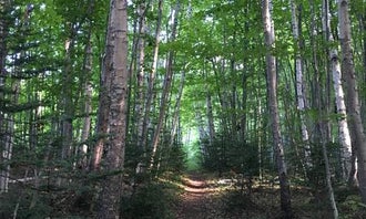 Camping near Ross Lake State Forest Campground: Pictured Rocks National Lakeshore Backcountry Sites — Pictured Rocks National Lakeshore, Pictured Rocks National Lakeshore, Michigan