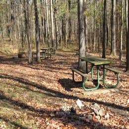 Rocky Springs Campground, Milepost 54.8 — Natchez Trace Parkway