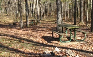 Camper-submitted photo from Rocky Springs Campground, Milepost 54.8 — Natchez Trace Parkway