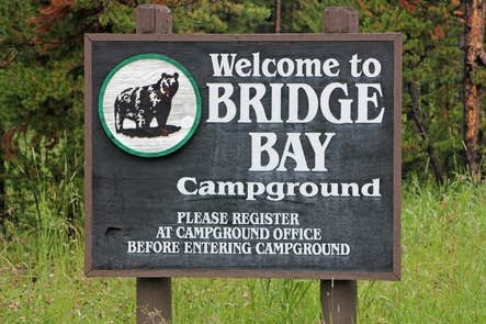 Camper-submitted photo at Bridge Bay Campground — Yellowstone National Park in Wyoming