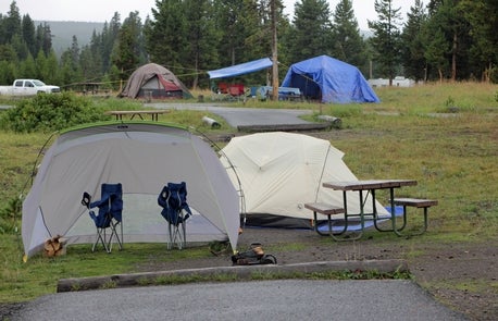 Camper submitted image from Bridge Bay Campground — Yellowstone National Park - 5