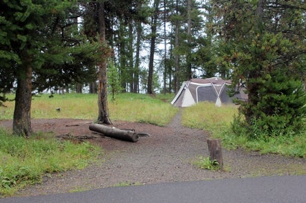 Camper submitted image from Bridge Bay Campground — Yellowstone National Park - 1