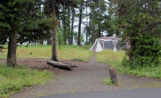 Camper-submitted photo from Bridge Bay Campground — Yellowstone National Park