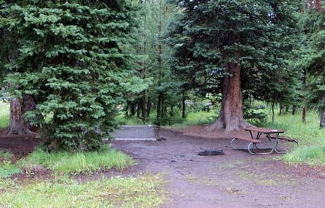 Camper-submitted photo at Bridge Bay Campground — Yellowstone National Park in Wyoming