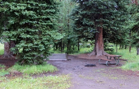 Camper submitted image from Bridge Bay Campground — Yellowstone National Park - 4