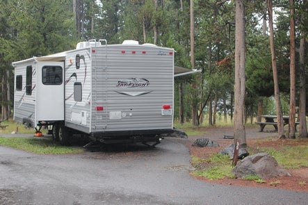 Camper submitted image from Bridge Bay Campground — Yellowstone National Park - 2