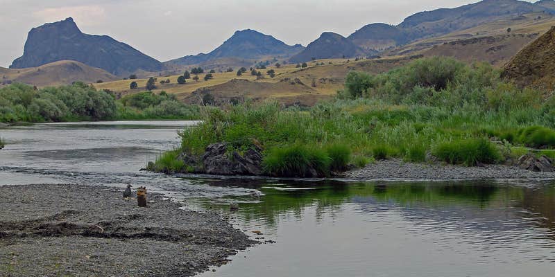 Camper submitted image from BLM John Day River - Priest Hole
