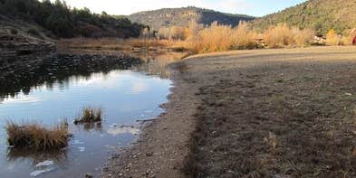 Camper submitted image from Bradfield Recreation Site