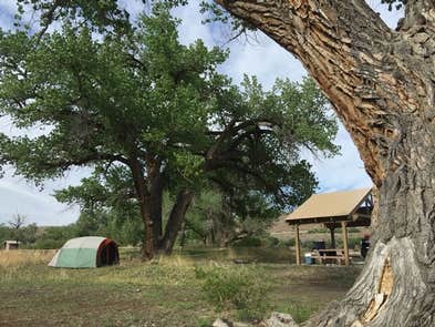 Camper submitted image from BLM Cottonwood Grove Campground - 1