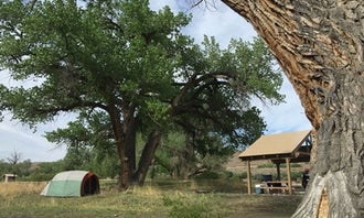 BLM Cottonwood Grove Campground