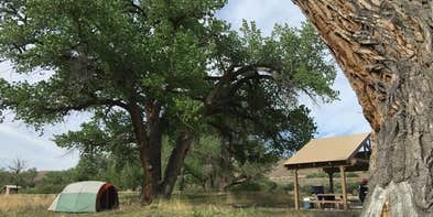 Camper submitted image from BLM Cottonwood Grove Campground