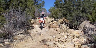 Camper submitted image from Penrose Common Rec Site