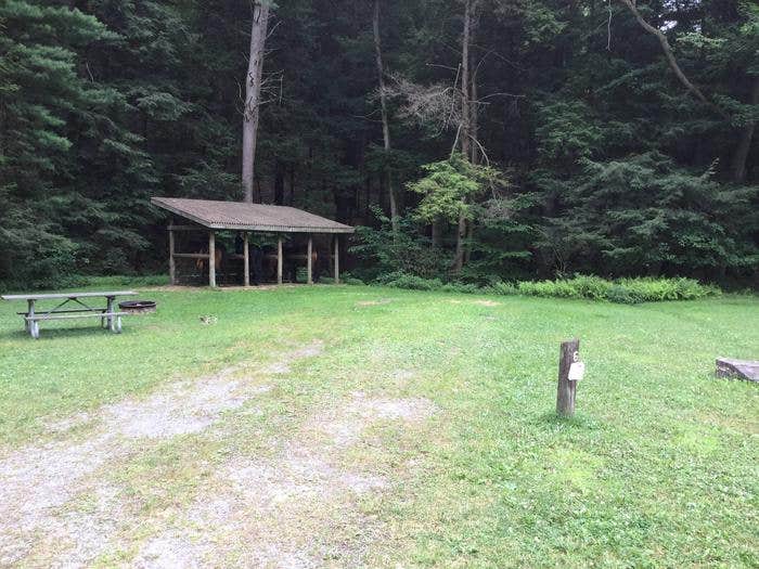 Camper submitted image from Kelly Pines Campground - 3
