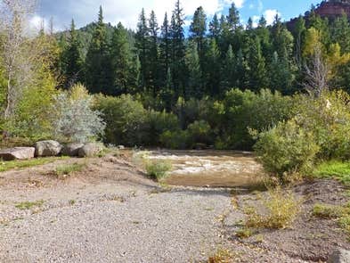 Camper-submitted photo at Caddis Flats near Norwood, CO