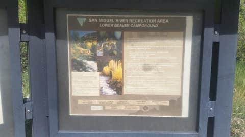 Camping near BLM Ledges Cottonwood Campground: BLM Lower Beaver Campground, Norwood, Colorado