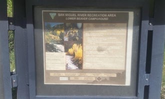BLM Lower Beaver Campground