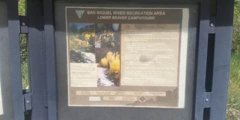 Camper submitted image from BLM Lower Beaver Campground