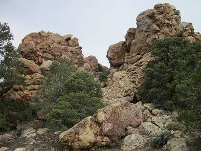 Camper-submitted photo at Sacramento Pass Recreation Area near Baker, NV