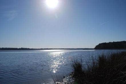 Camper submitted image from Oyster Point Campground - 5