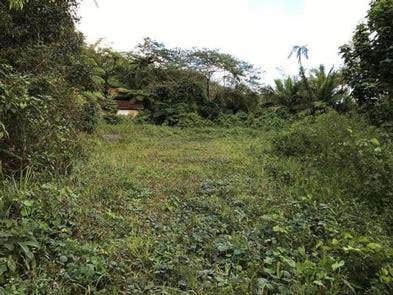 Camper-submitted photo at El Yunque National Forest Camp Sites in Puerto Rico