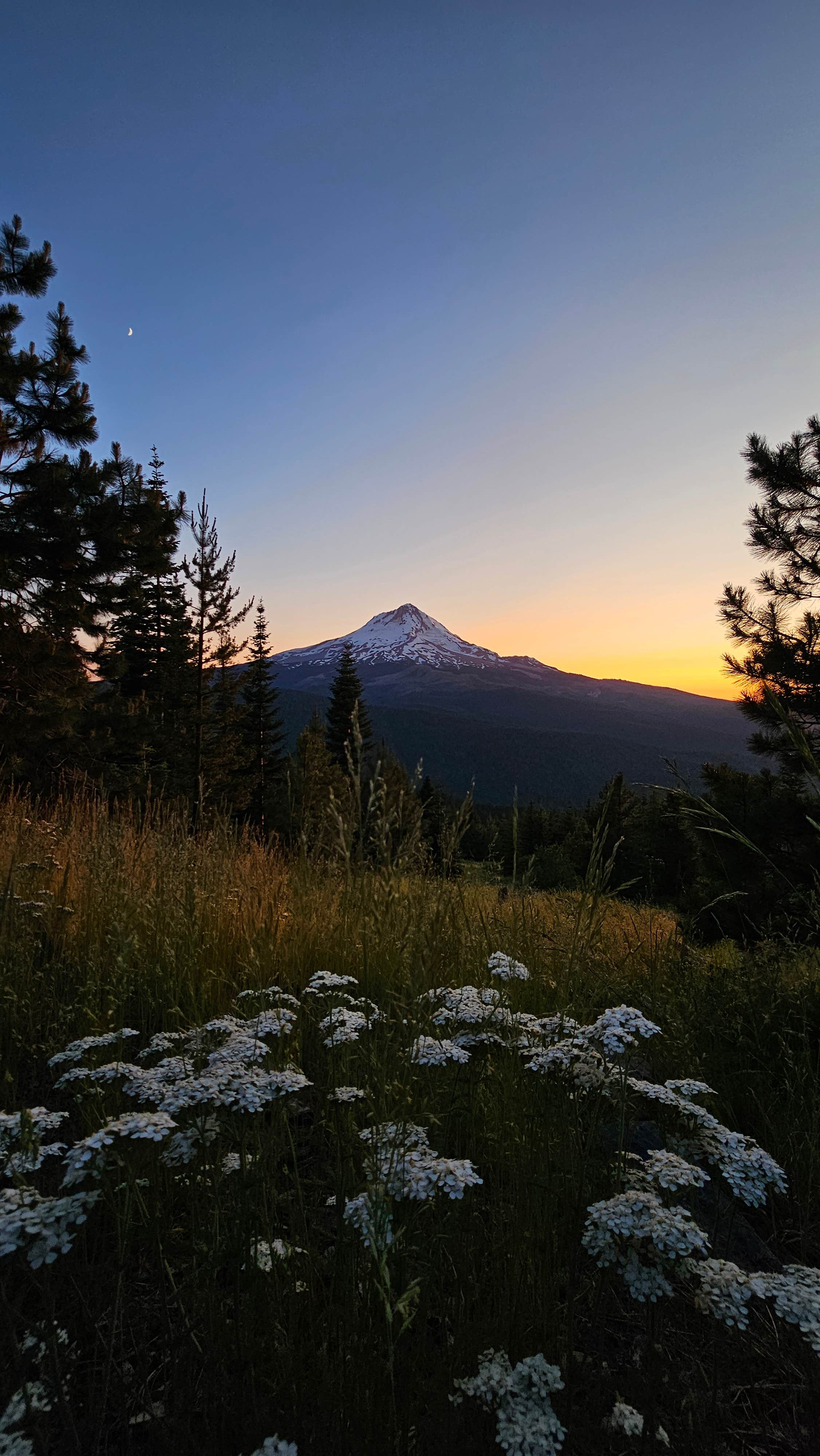 Jeremy P.'s photo of a dispersed camping area at Forest Rd 2730 - Mt Hood NF near Mt. Hood National Forest