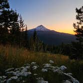 Review photo of Forest Rd 2730 - Mt Hood NF by Jeremy P., July 15, 2024