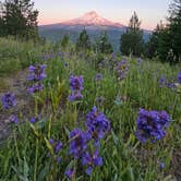 Review photo of Forest Rd 2730 - Mt Hood NF by Jeremy P., July 15, 2024