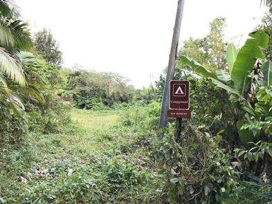 Camper-submitted photo at El Yunque National Forest Camp Sites in Puerto Rico